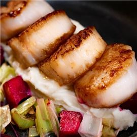 Seared Sea Scallops